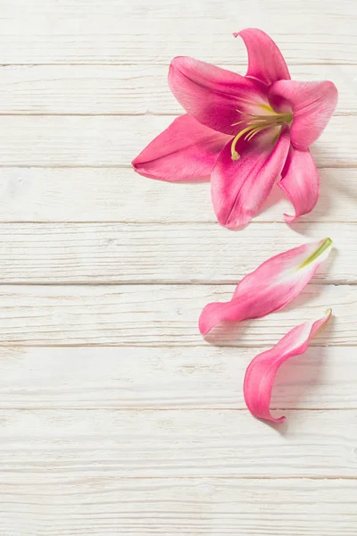 Beyaz ahşap zemin üzerinde pembe lily çiçek