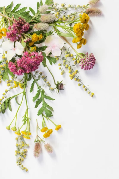 wildflowers on white paper background