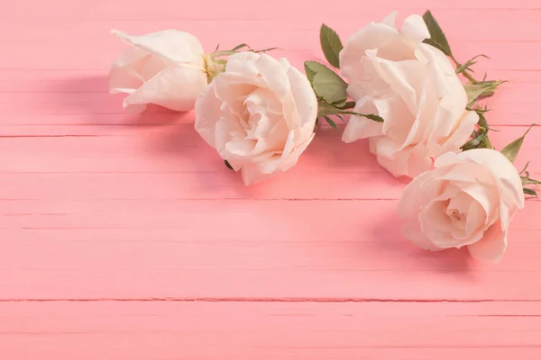 Białe róże na różowym drewnianym tle — Zdjęcie stockowe