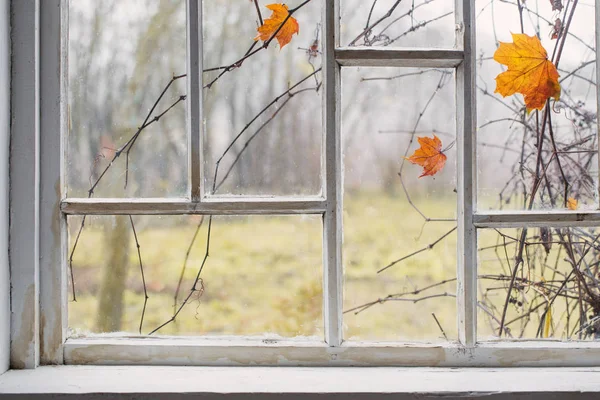 Jesienny krajobraz na Starym oknie — Zdjęcie stockowe