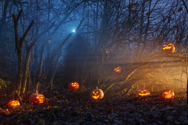 Ghost met Halloween pompoenen in Night forest — Stockfoto