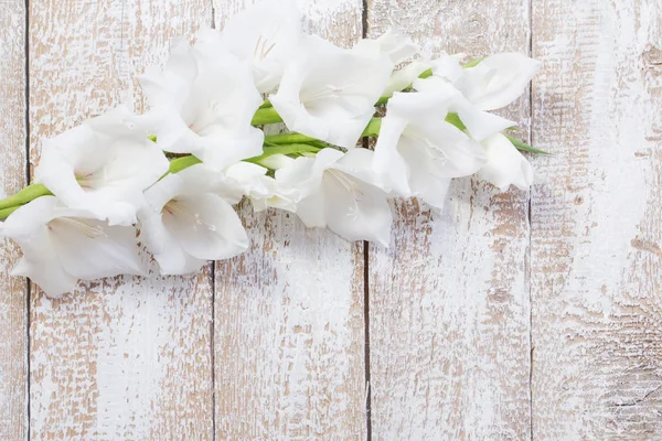 Ahşap arka plan üzerinde beyaz gladiolus — Stok fotoğraf