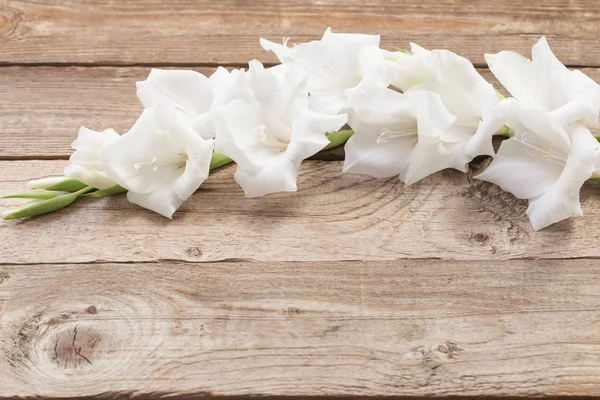 Gladiolo bianco su fondo di legno — Foto Stock