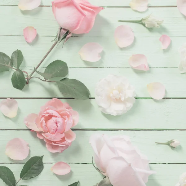 Rosas rosadas y blancas sobre fondo de madera verde — Foto de Stock