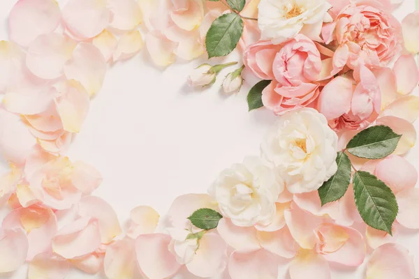 Rosa flores e pétalas sobre fundo branco — Fotografia de Stock