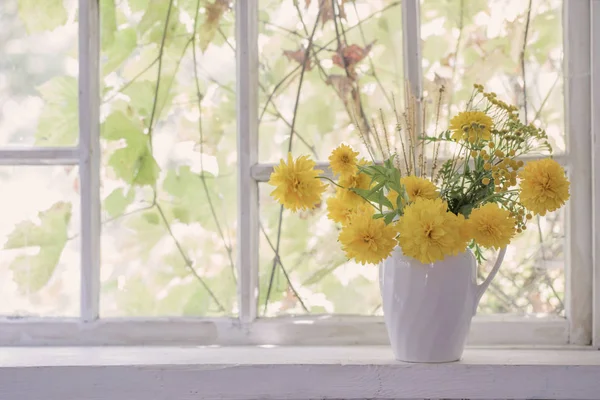 Flores amarillas en jarra blanca en alféizar de ventana — Foto de Stock