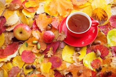  arka planda çay fincan sonbahar yaprakları