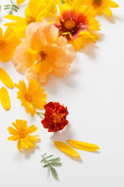 Beyaz arkaplanda sarı ve turuncu çiçekler