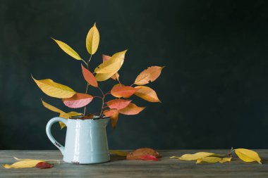 Sonbahar koyu arka planda ahşap masada üzerinde sürahi yaprakları 