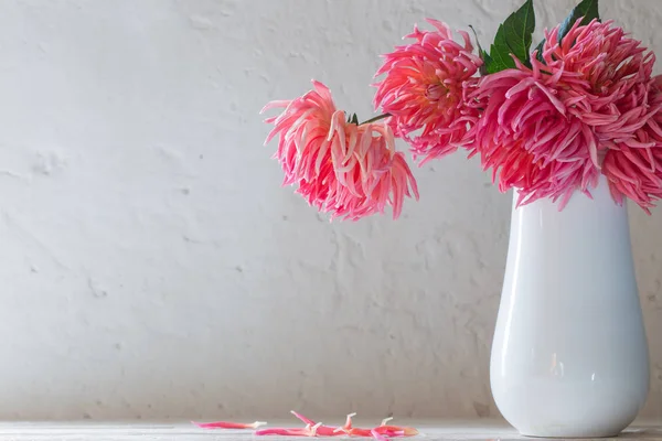 Dalie rosa in vaso bianco su fondo parete bianca — Foto Stock