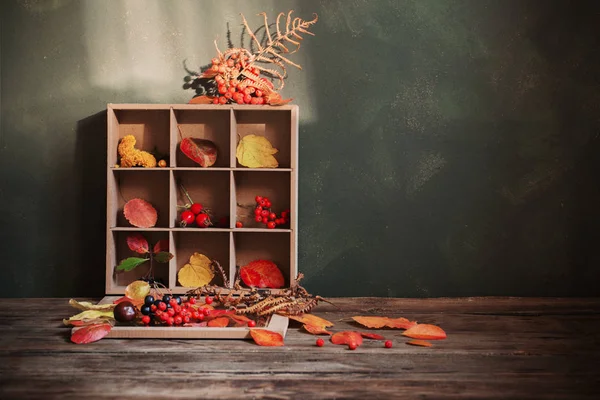 Yaprak ve meyveleri ile sonbahar arka plan — Stok fotoğraf