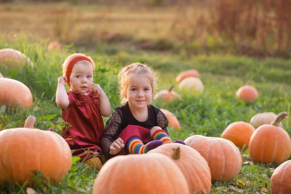 Two little girls with orange pumpkins at sunset — Stock Photo, Image