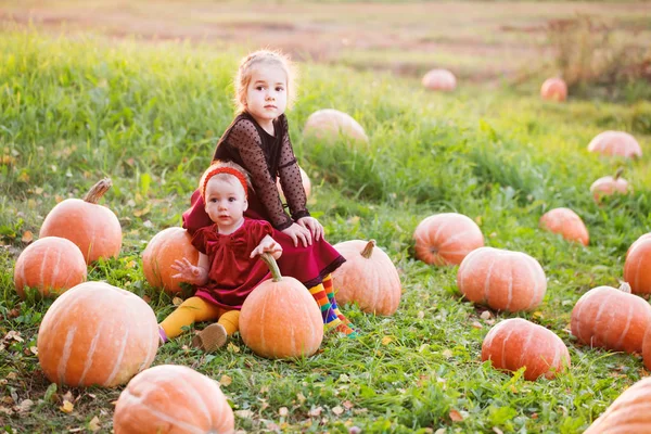 Deux filles avec des citrouilles sur le terrain au coucher du soleil — Photo