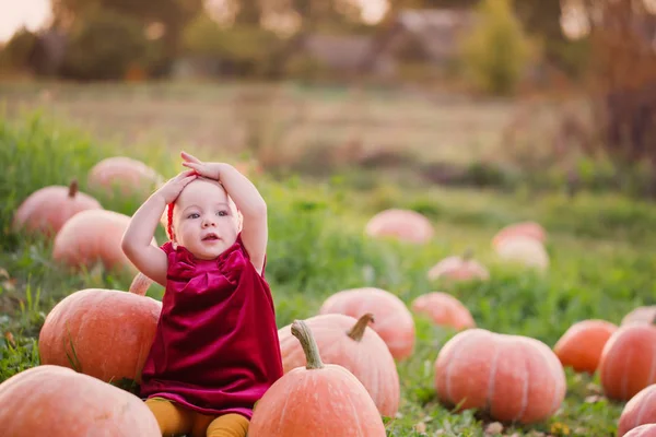 Klein meisje met pompoenen op veld — Stockfoto