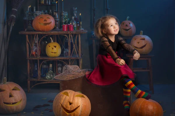 Pequena bruxa com abóboras de Halloween indoor — Fotografia de Stock