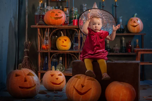 Liten häxa med halloween pumpor inomhus — Stockfoto