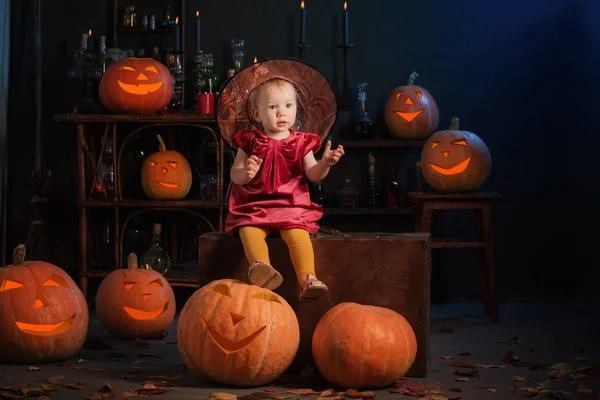 Kleine heks met Halloween pompoenen binnen — Stockfoto