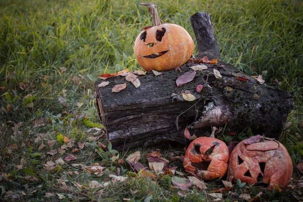 Stare zepsute Halloween dynia zewnątrz — Zdjęcie stockowe