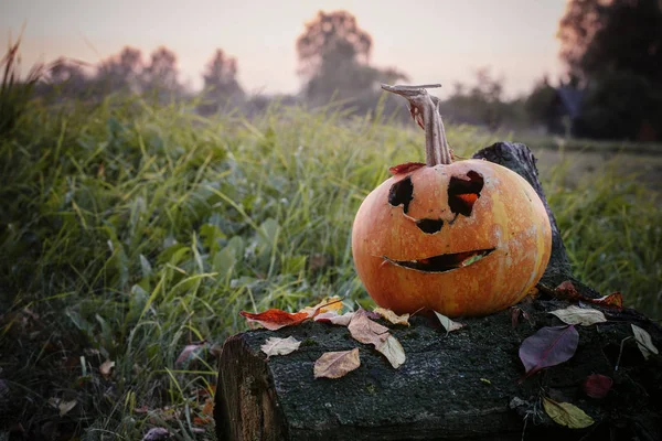 Старый испорченный Хэллоуин тыква на открытом воздухе — стоковое фото