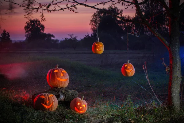 Halloweenské dýně v noci venku — Stock fotografie