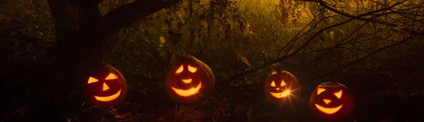 Halloween dynie w lesie nocnym — Zdjęcie stockowe