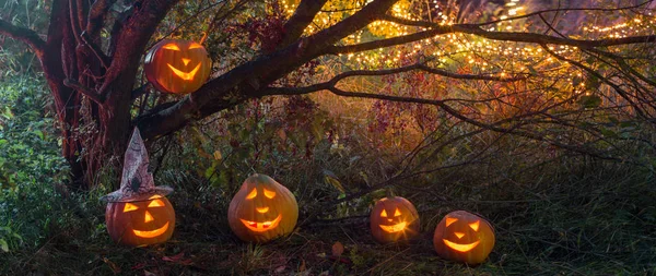 Calabazas de Halloween en el bosque nocturno — Foto de Stock