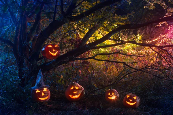 Halloween pumpor i natt skog — Stockfoto