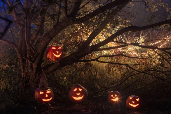Хэллоуин тыквы в ночном лесу — стоковое фото