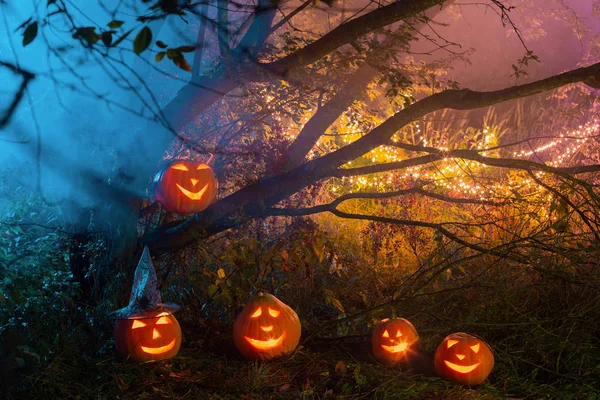 Halloweenské dýně v nočním lese — Stock fotografie