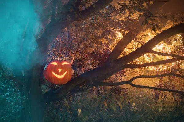Halloween-Kürbisse im nächtlichen Wald — Stockfoto