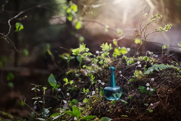 Pozione magica sulla bottiglia nella foresta — Foto Stock