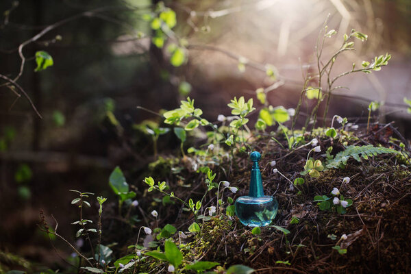 magic potion on bottle in forest