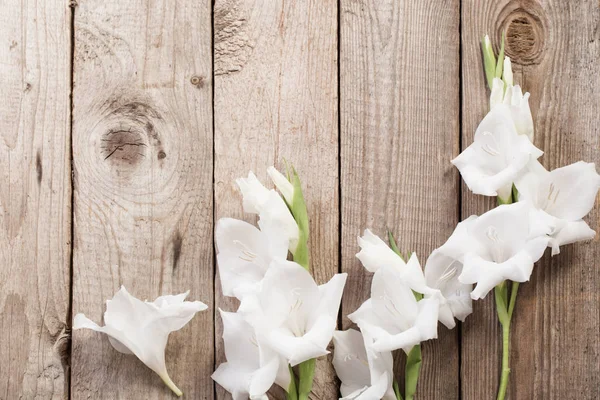 Vit Gladiolus på trä bakgrund — Stockfoto