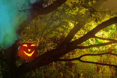 Gece ormanında Cadılar Bayramı kabakları 