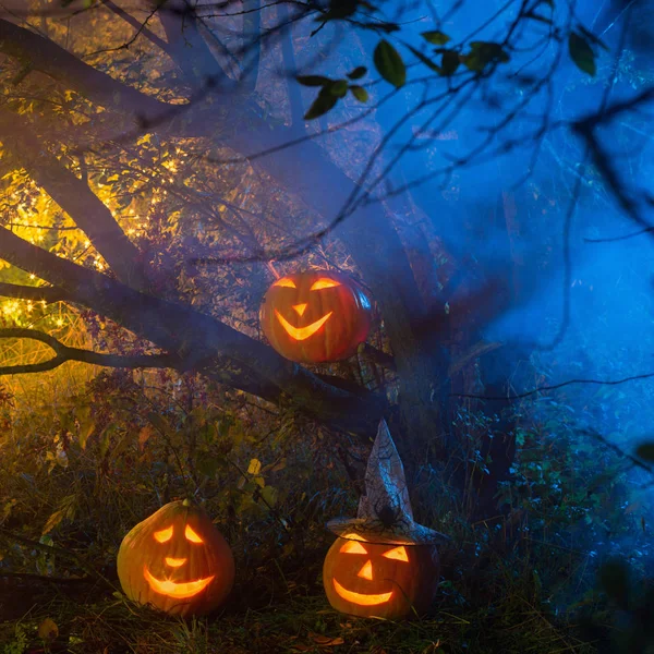 Halloween pumpor i natt skog — Stockfoto