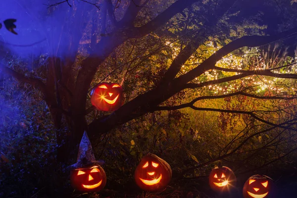 Halloweenské dýně v nočním lese — Stock fotografie