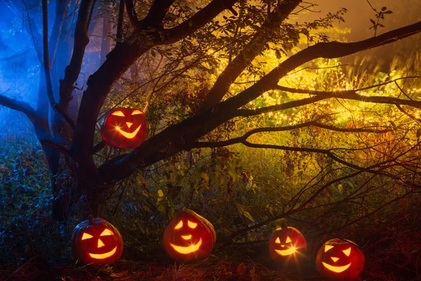 Halloween pumpor i natt skog — Stockfoto