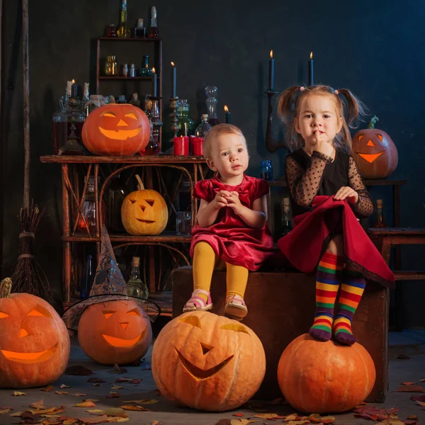 Duas bruxinhas com abóboras de Halloween indoor — Fotografia de Stock