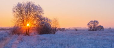 the beautiful winter landscape  clipart