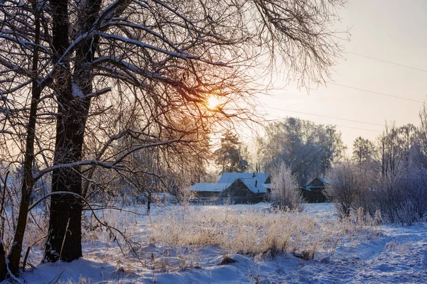 The beautiful winter landscape — Stock Photo, Image