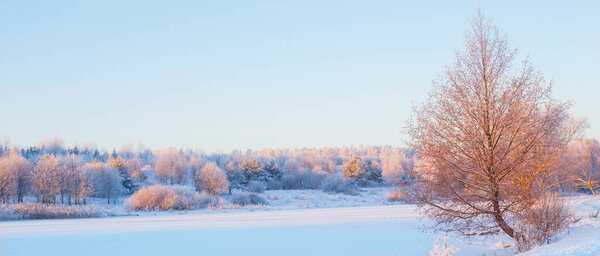 зимнее утро со снегом и морозом
