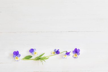 ahşap arka planda Viola çiçekler