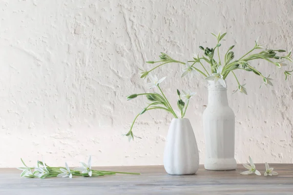 背景の古い白い壁に花瓶の白い花 — ストック写真