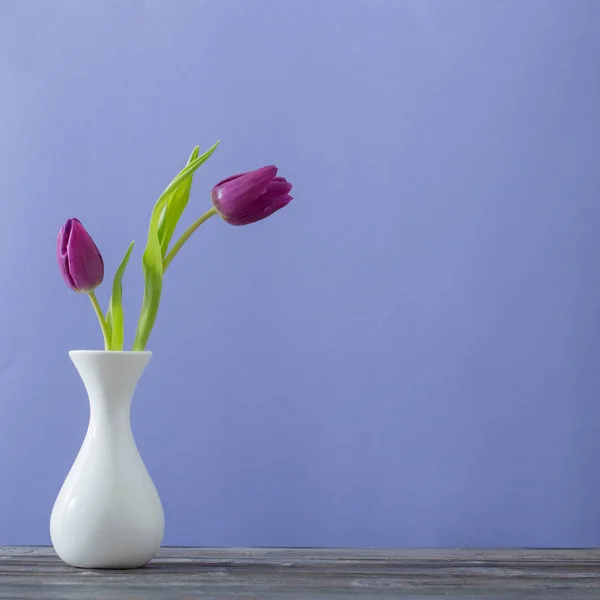 Two tulips in vase on violet background — Stock Photo, Image