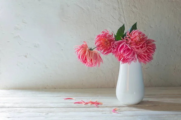 Dalias rosadas en jarrón blanco sobre fondo pared blanca —  Fotos de Stock