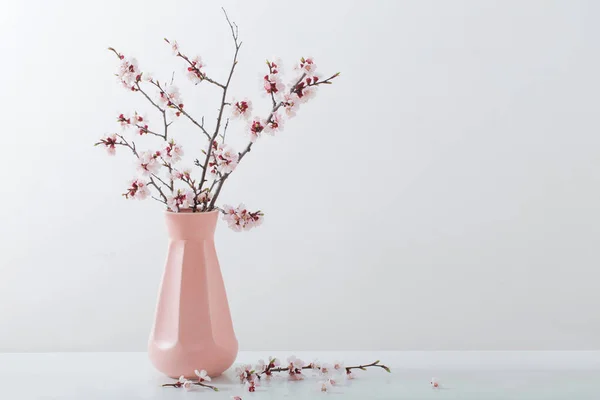 Branche de cerisier à fleurs dans un vase sur fond blanc — Photo