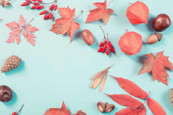 Autumn leaves on blue paper background — Stock Photo, Image