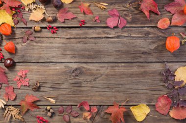 Karanlık eski ahşap arka planda sonbahar yaprakları 