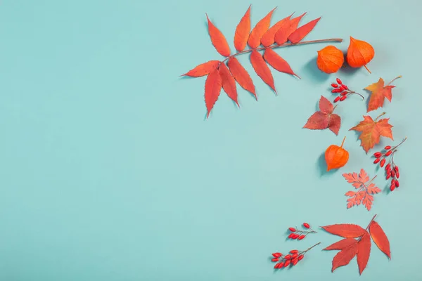 Herbst Blätter auf blauem Papier Hintergrund — Stockfoto