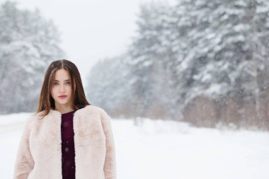 güzel bir kız kış orman 